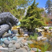 Bear Creek Resort