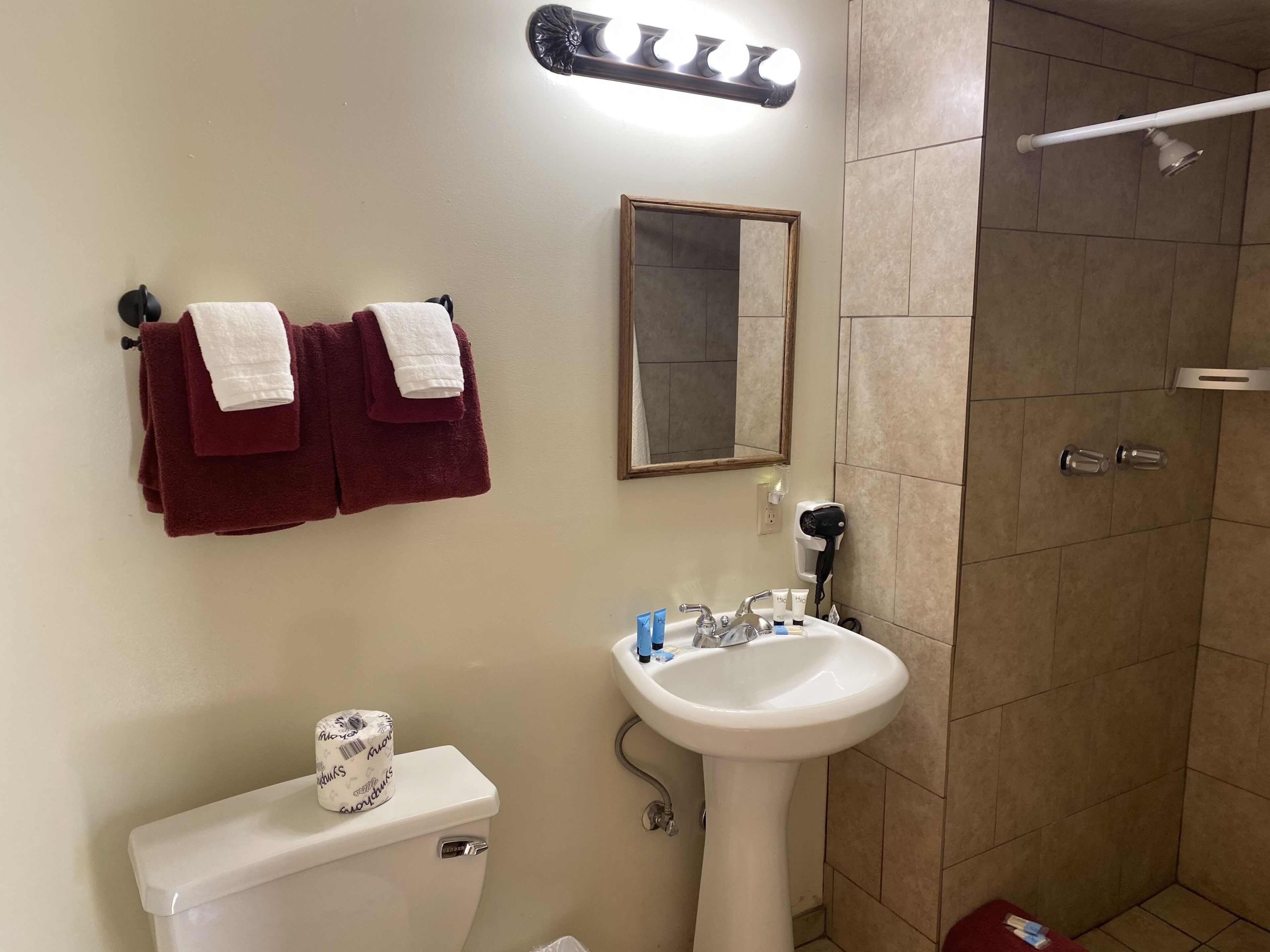 Une salle de bain équipée de toilettes, d’un lavabo, d’un miroir et d’une douche.