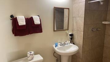 Une salle de bain équipée de toilettes, d’un lavabo, d’un miroir et d’une douche.