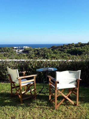 Traditional-Villa | Terrasse/Patio