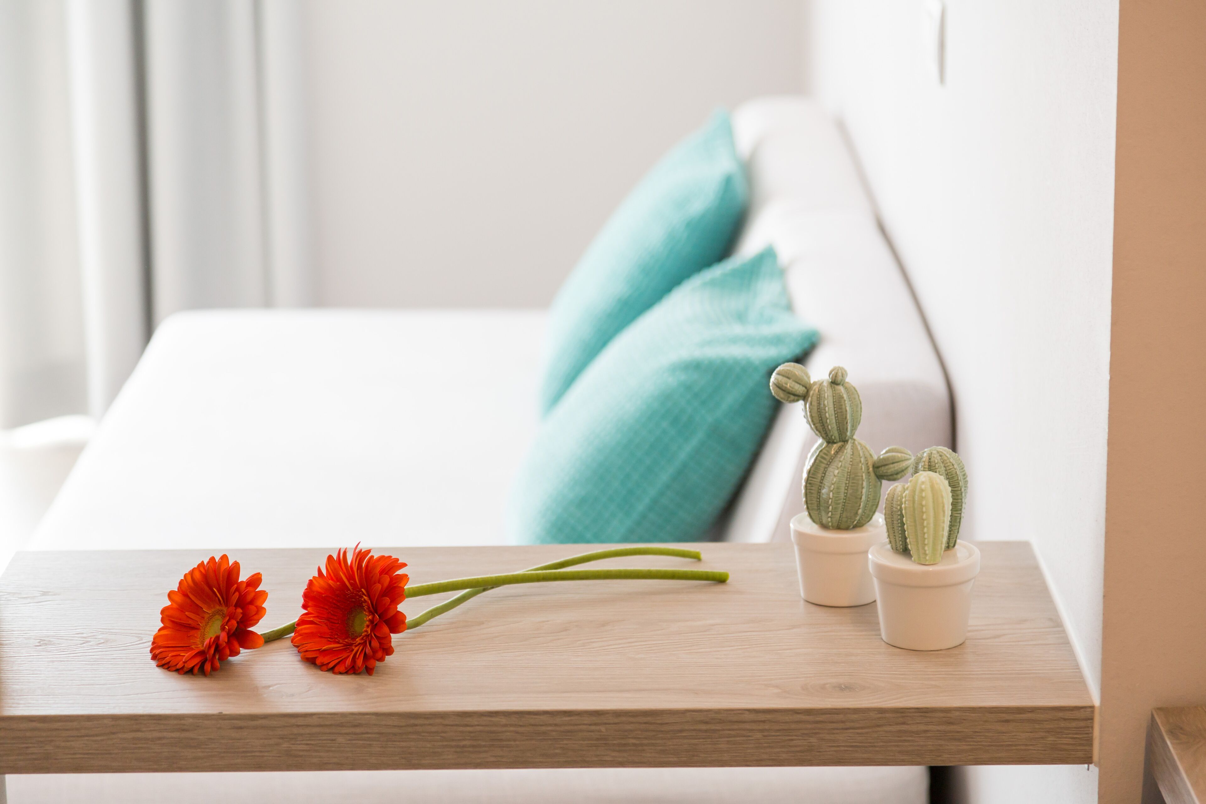 Ein Holztischchen mit zwei roten Blumen und zwei kleinen Sukkulenten.