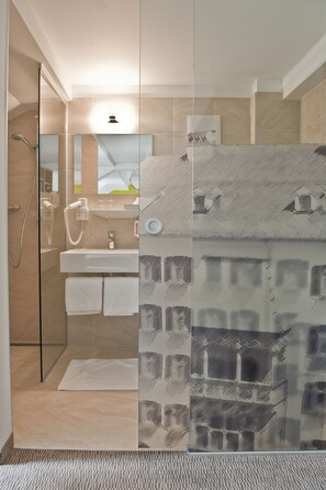 Shower, hair dryer, towels