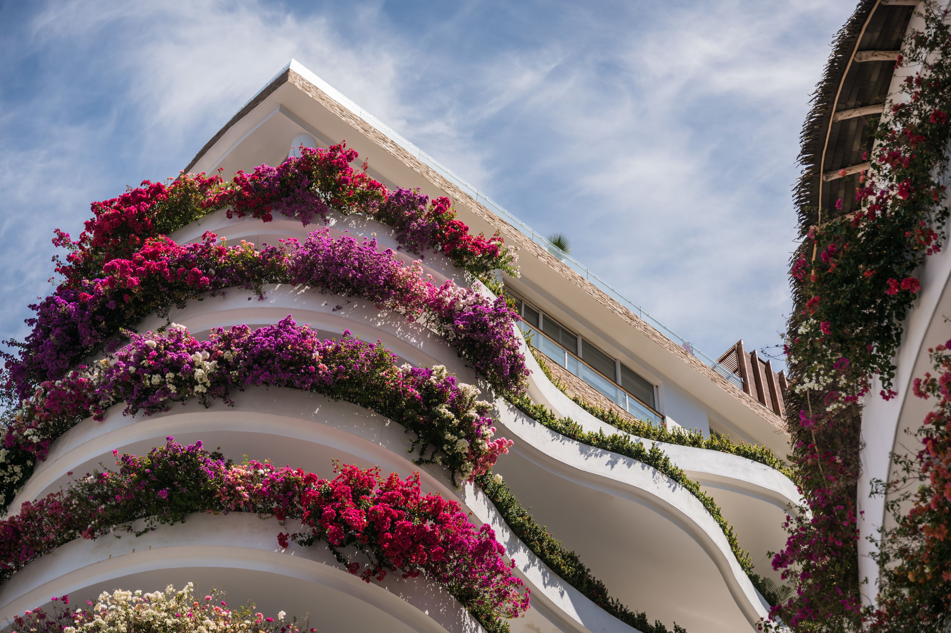 Un immeuble doté de nombreux balcons ornés de fleurs aux couleurs vives.