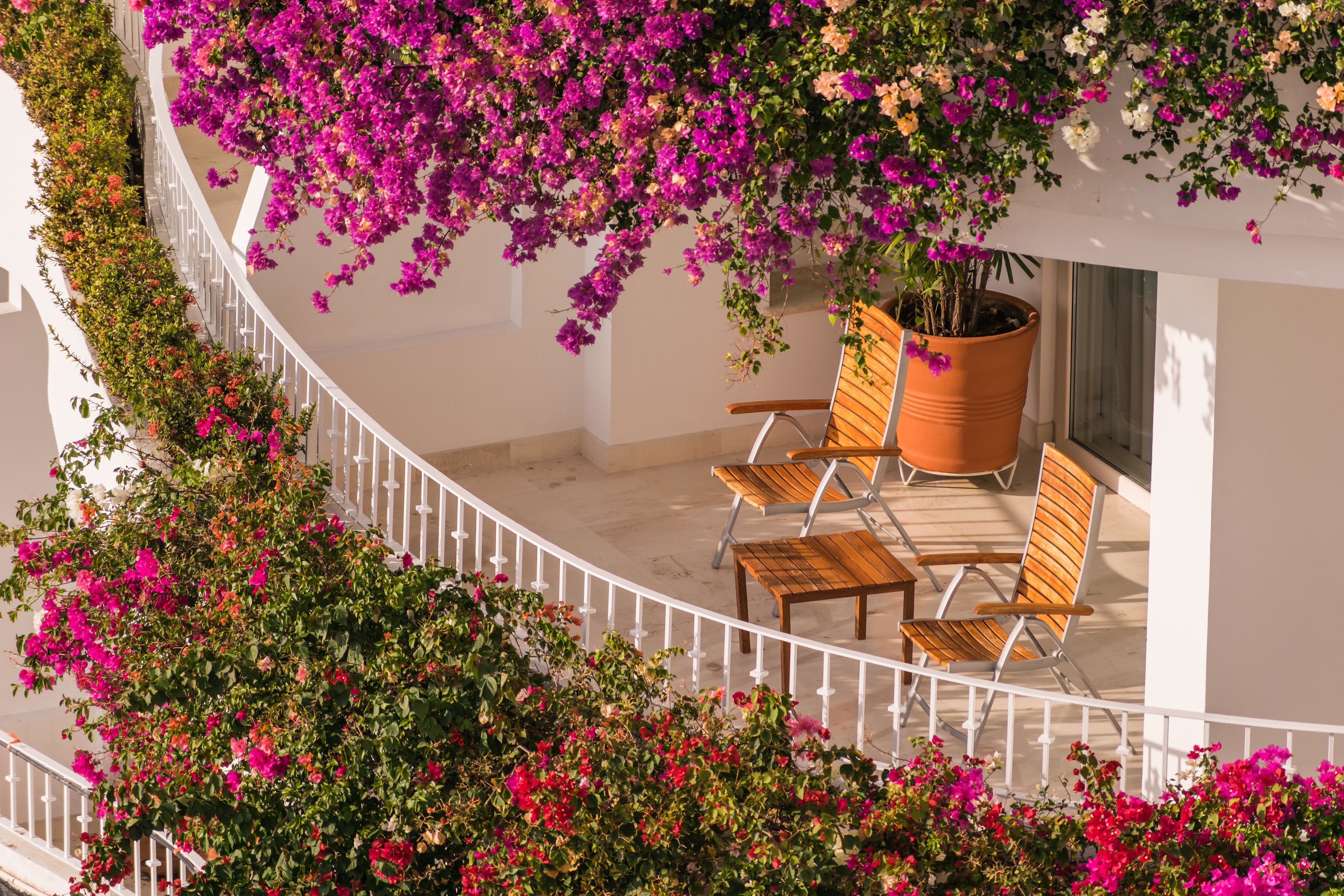A balcony with a curved railing, wooden chairs, and a potted plant.