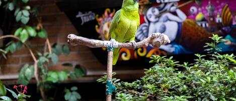 A parrot perched on a branch with a mural in the background.