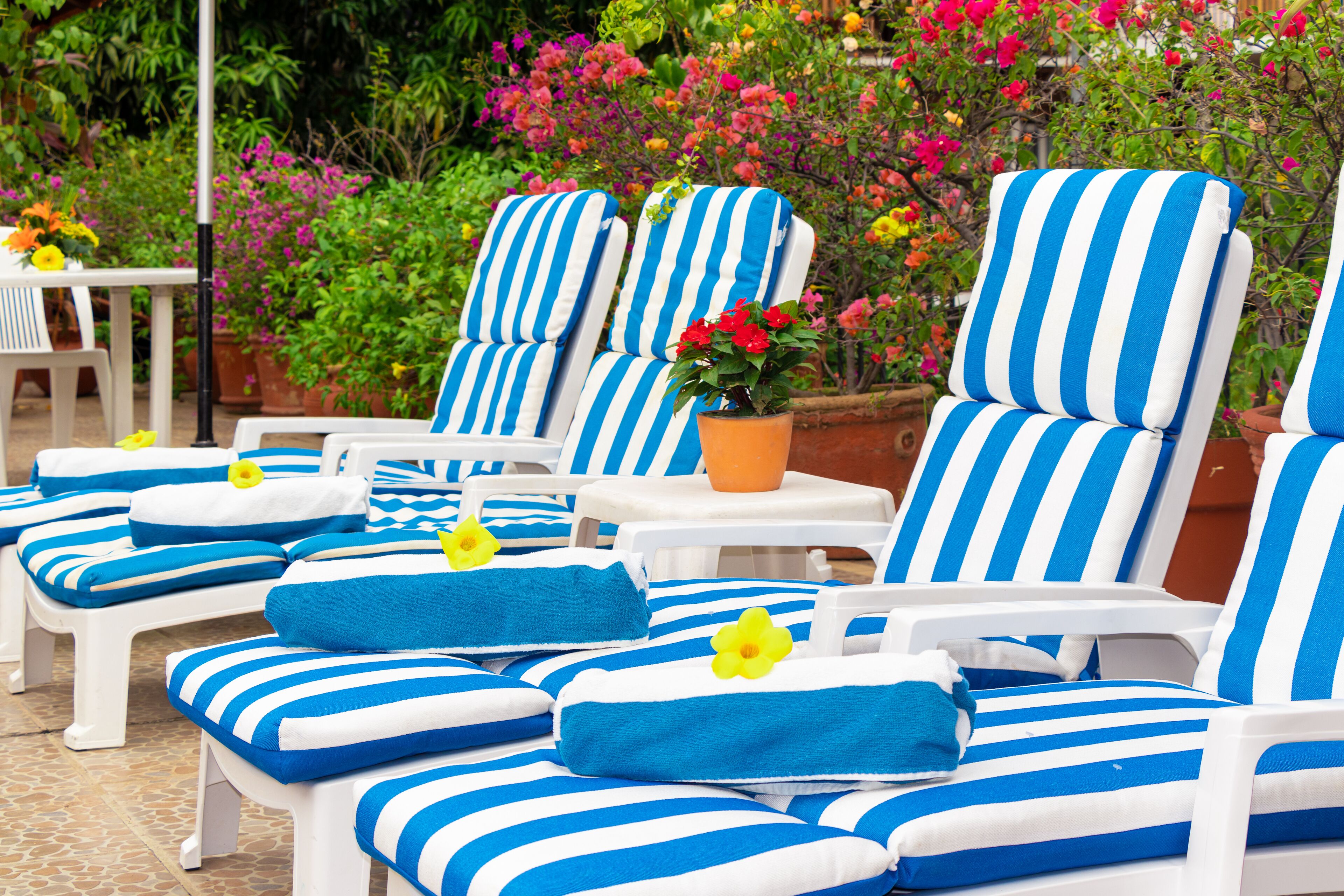 Une rangée de chaises longues rayées, agrémentées de serviettes et de fleurs, se dressant sur un fond de verdure luxuriante et de fleurs aux couleurs vives.