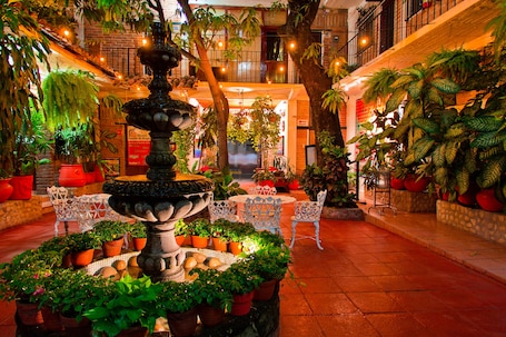 Courtyard. Hotel Posada de Roger - Near Los Muertos Beach