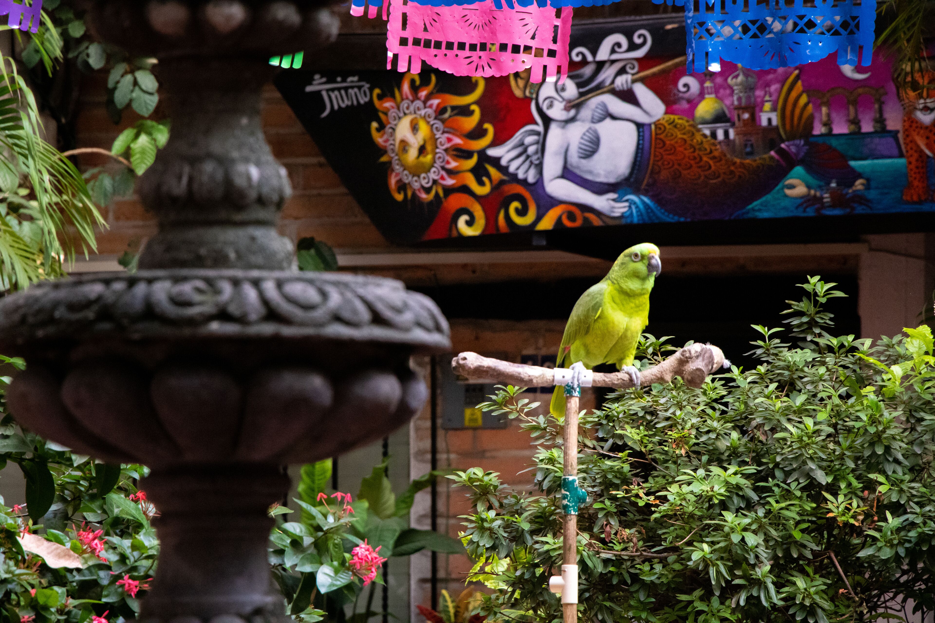 Foto - Hotel Posada De Roger - Near Los Muertos Beach