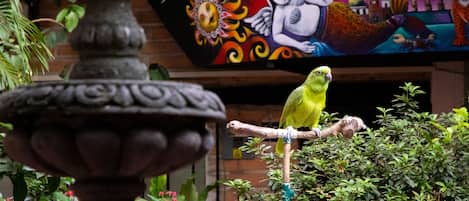 A bird perched on a branch in a garden with a decorative fountain and a mural in the background.