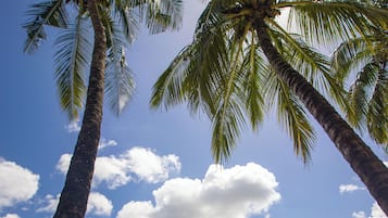 Una piscina con tobogán de agua, palmeras y un cielo azul despejado.