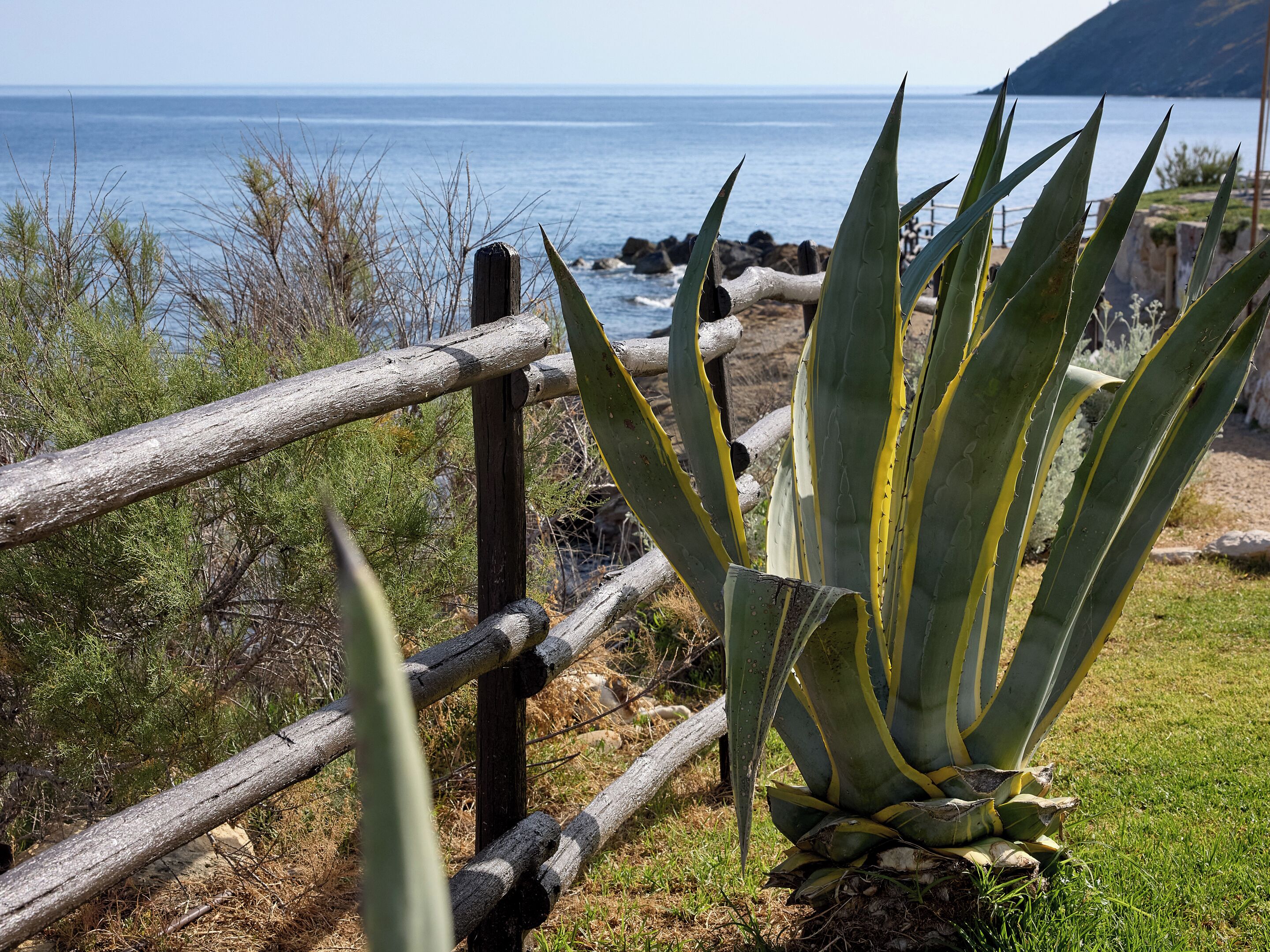 A wooden fence, a large agave plant, and a coastal view with the ocean and a mountain in the background.