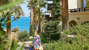 A pathway lined with palm trees leading to a building with a view of the sea.