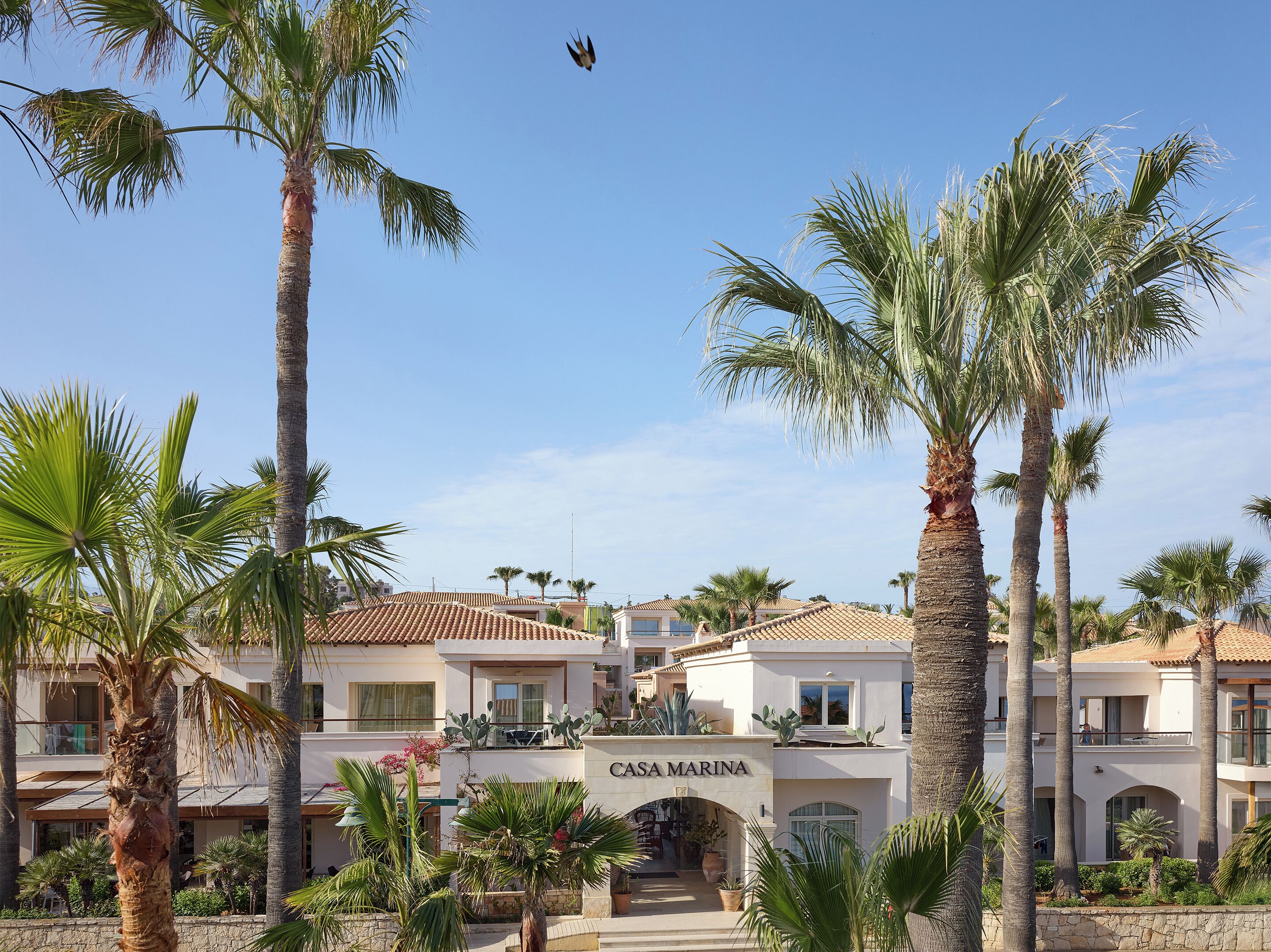 A resort with multiple buildings, palm trees, and a clear sky.