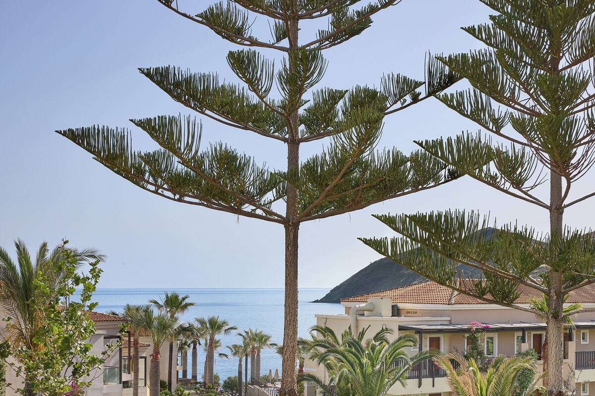 A coastal resort with palm trees, a view of the sea, and buildings with balconies.