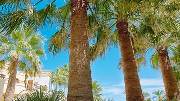 Casa Marina Family Apartment, Pool \ Garden View | Ropa de cama de alta calidad y minibar