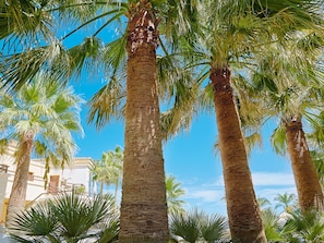 Casa Marina Family Apartment, Pool \ Garden View | Ylelliset vuodevaatteet, minibaari, tallelokero huoneessa