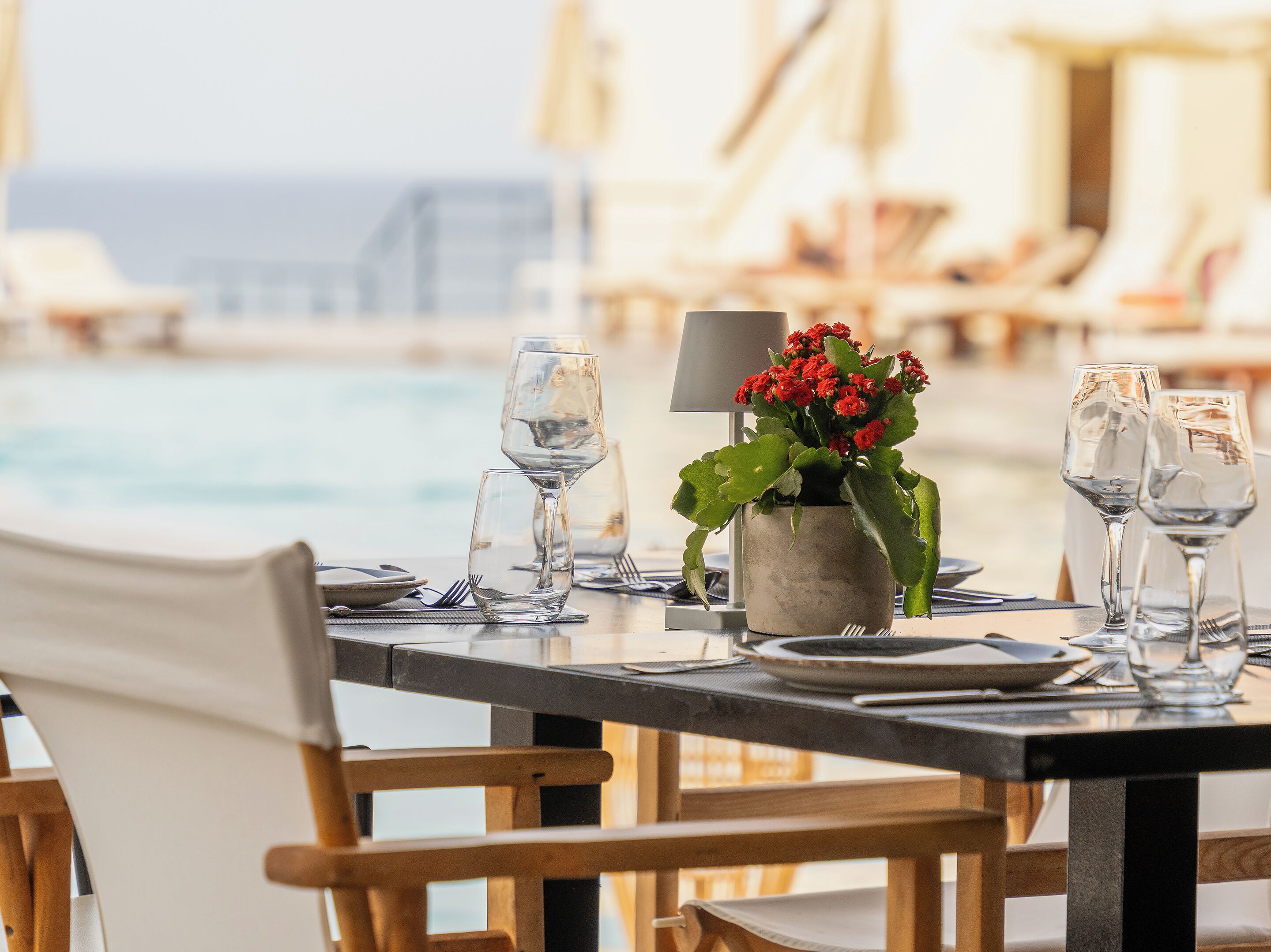 A dining table set with wine glasses, plates, and a potted plant with red flowers, overlooking a beach.
