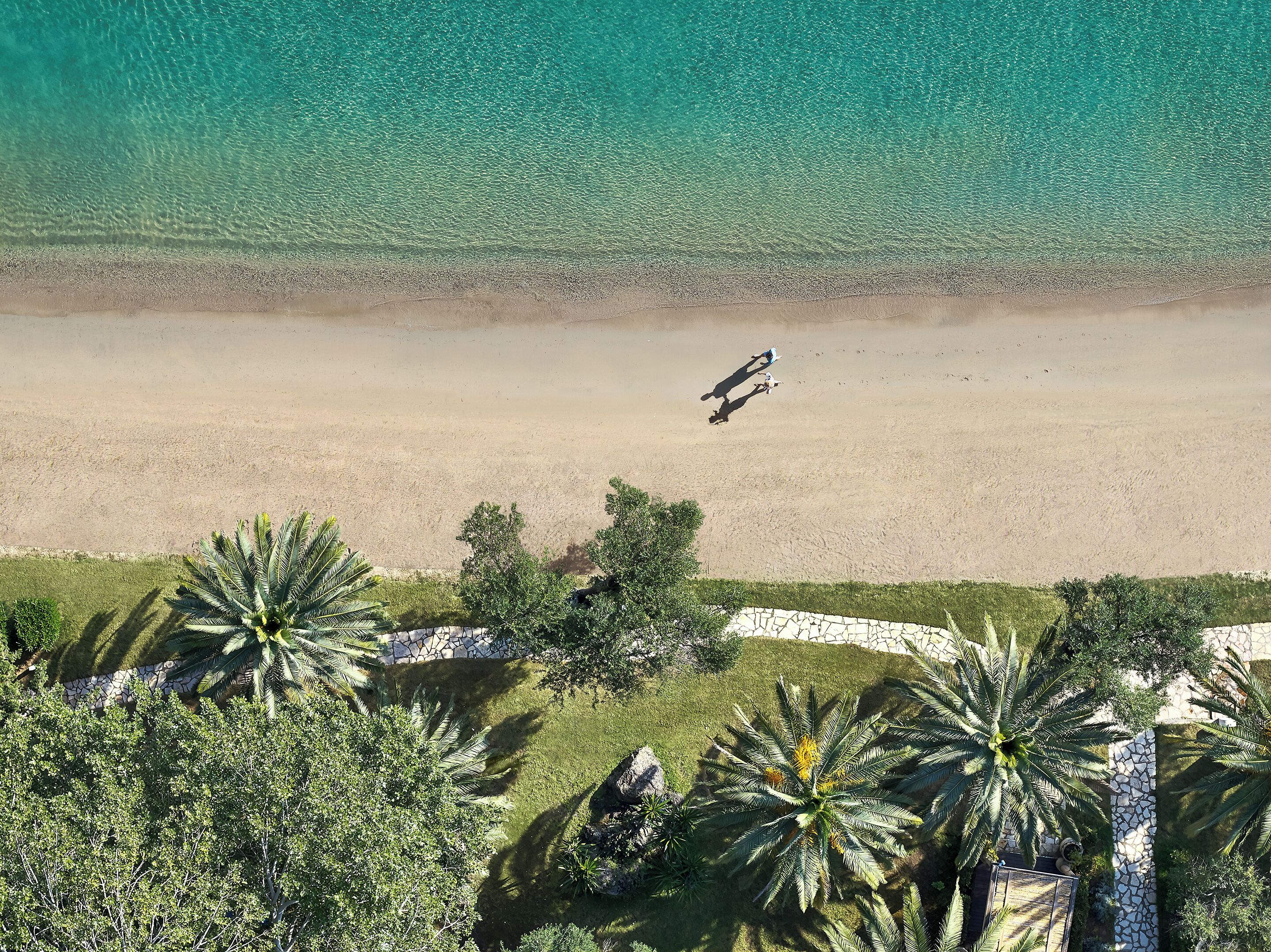 Vue aérienne d’une plage aux eaux turquoise et limpides, bordée d’un rivage sablonneux et de palmiers.