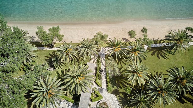 Una vista aerea di una spiaggia con acque cristalline turchesi, una riva sabbiosa e palme.