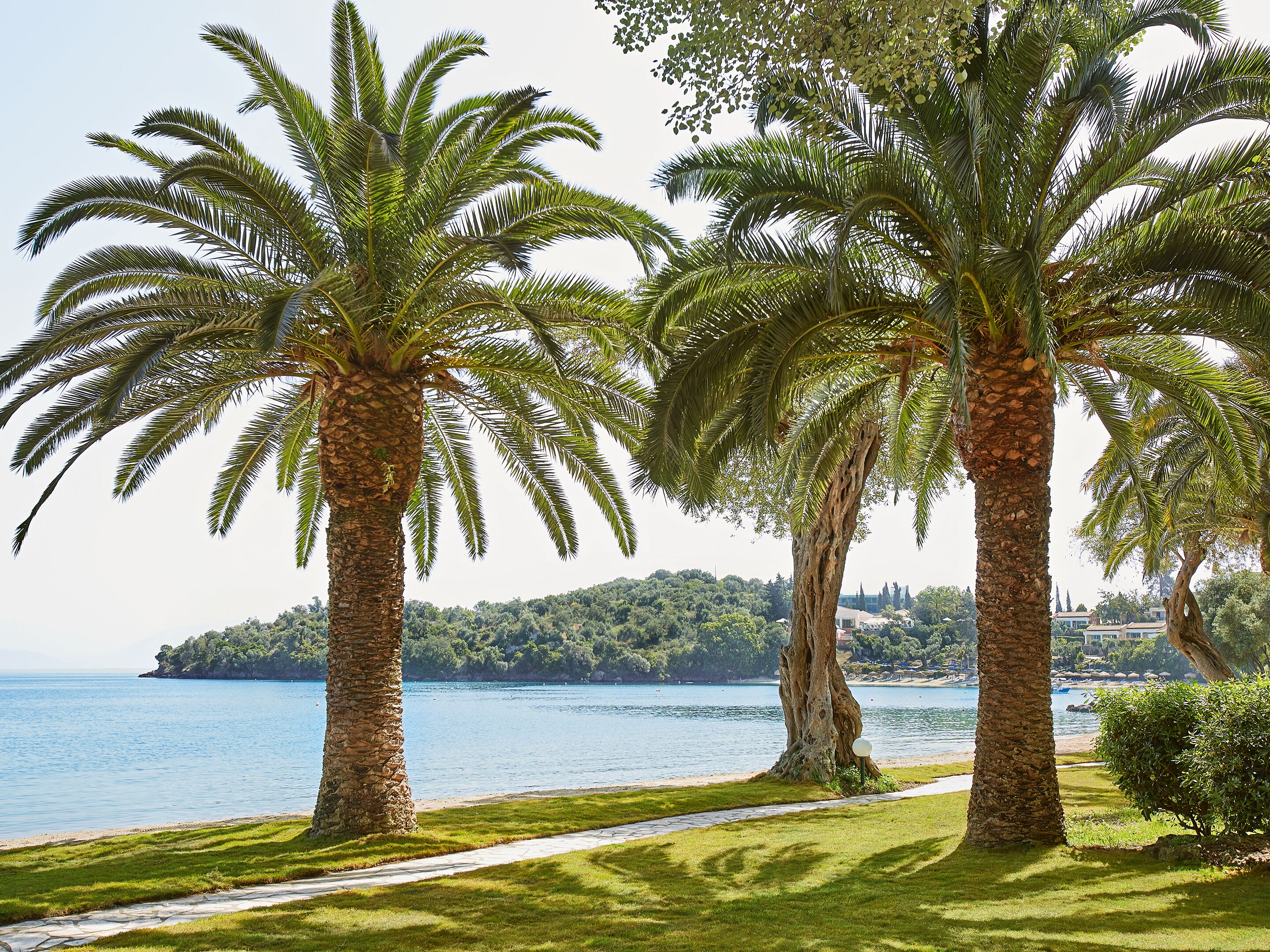 Foto - Grecotel Daphnila Bay