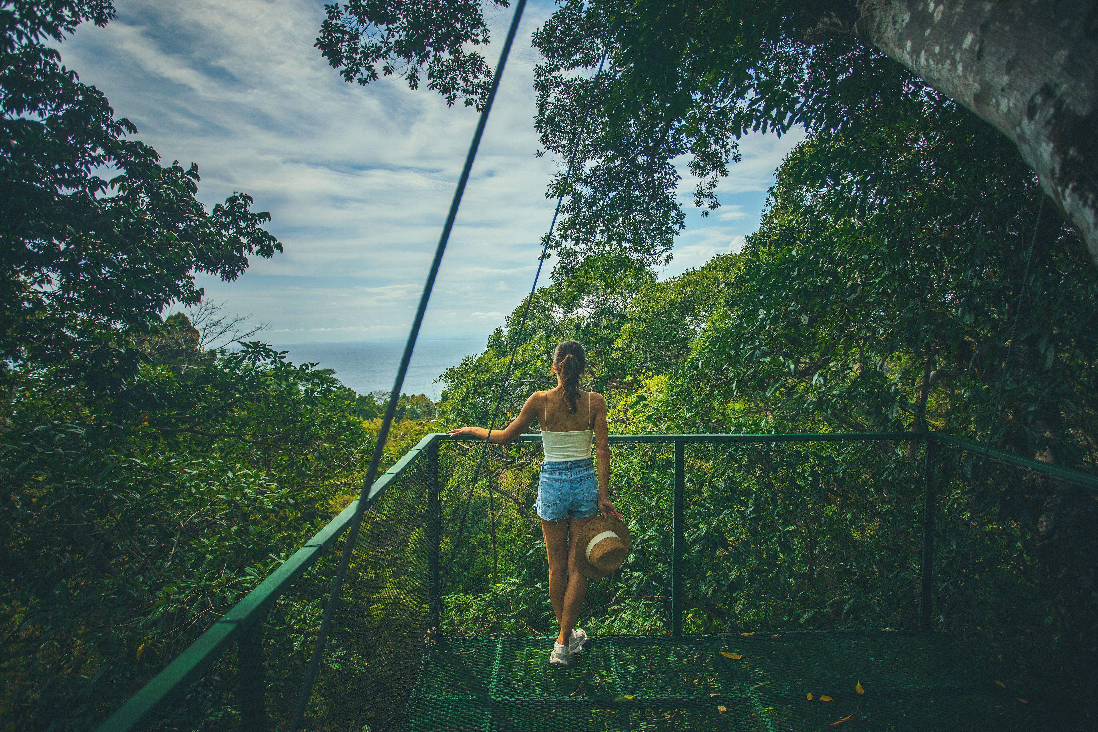 A person standing on a bridge surrounded by dense greenery.
