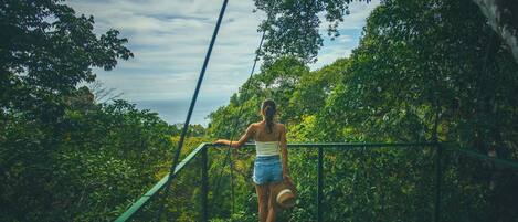 A person standing on a bridge surrounded by dense greenery.