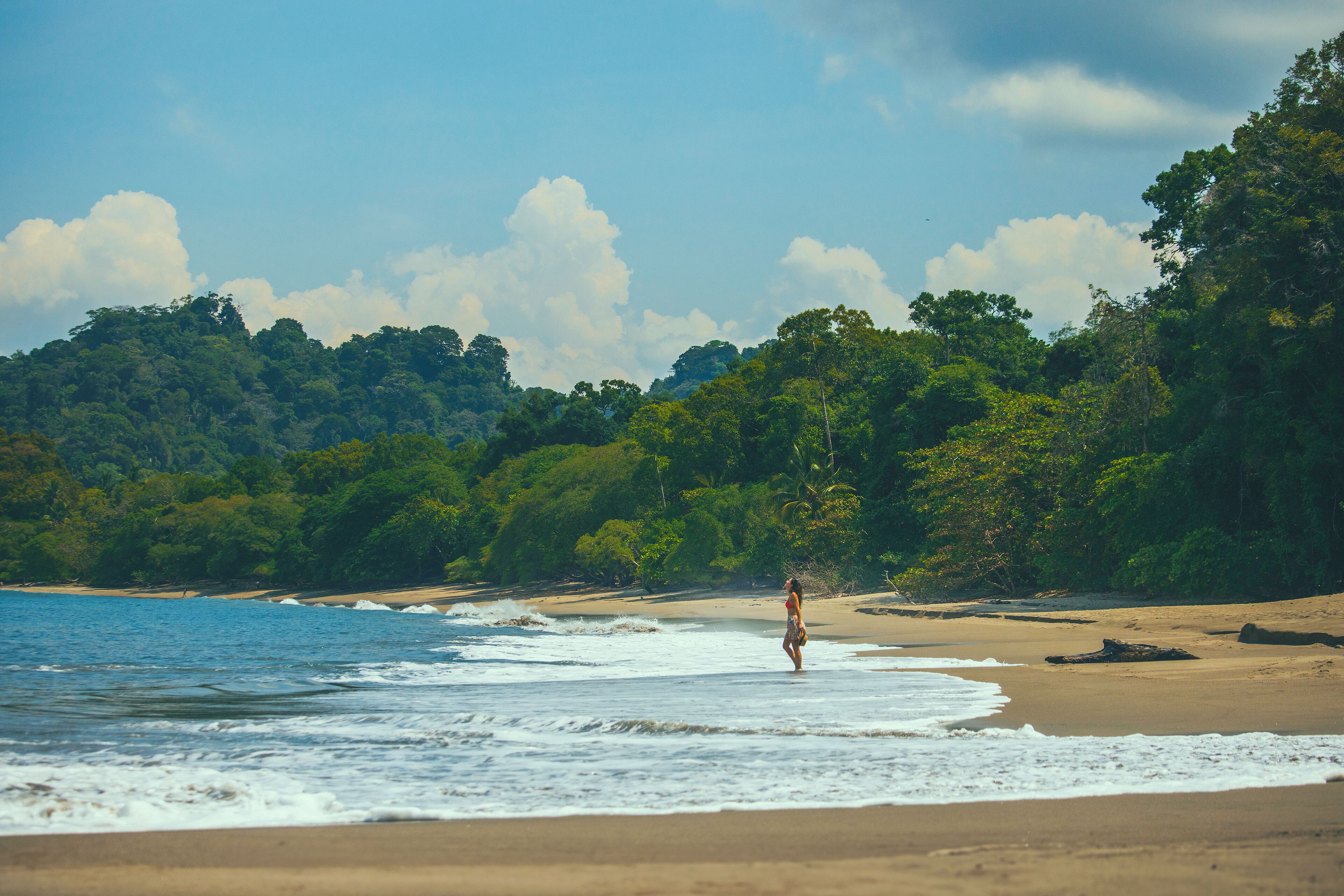 A beach with a person walking along the shore, surrounded by lush greenery and a clear sky.