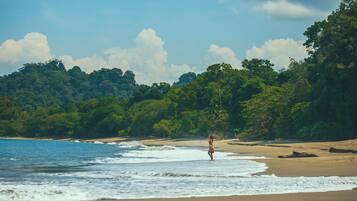 A beach with a person walking along the shore, surrounded by lush greenery and a clear sky.