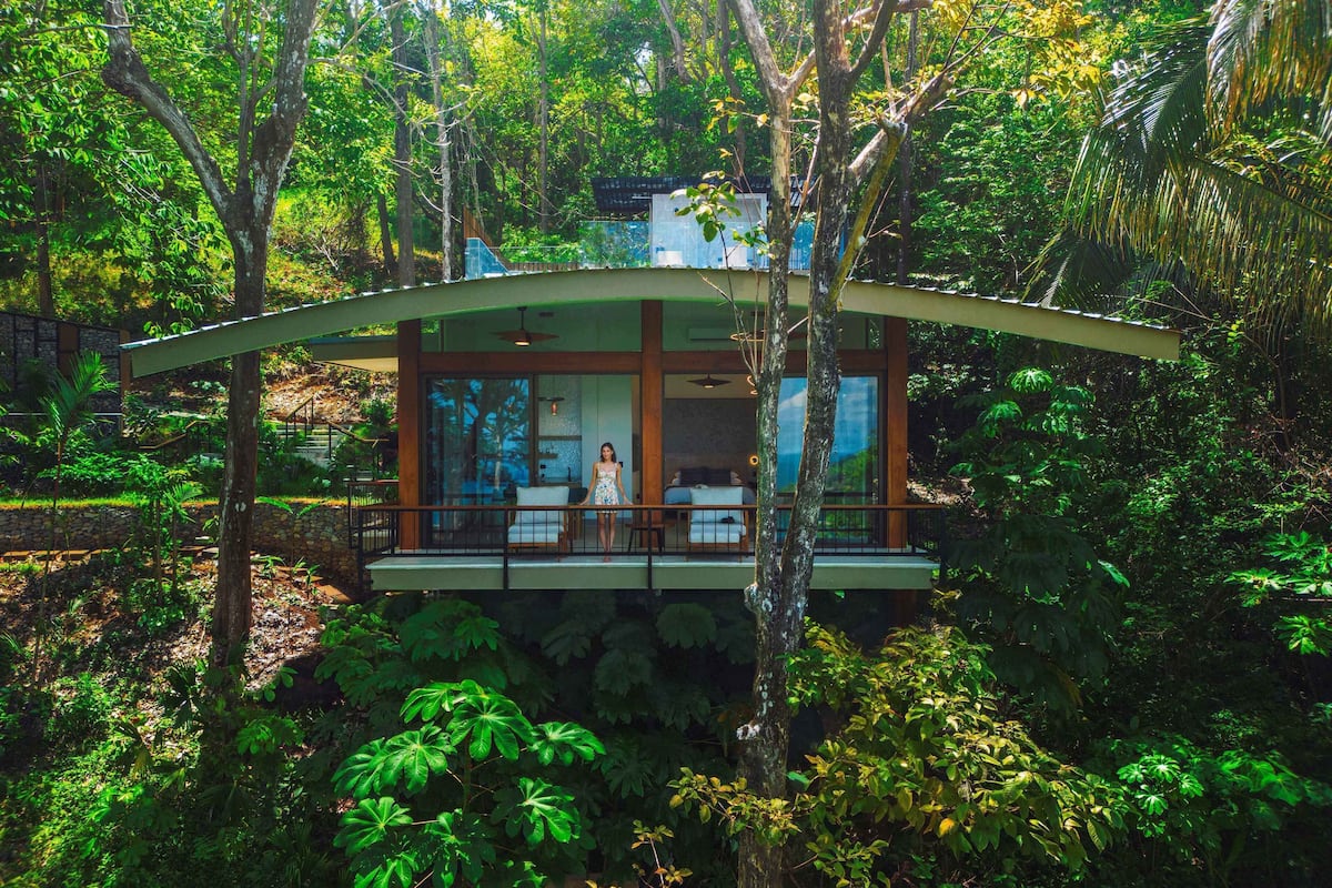 Une cabane moderne perchée dans un arbre, dotée d’une structure en verre et entourée d’une végétation luxuriante.