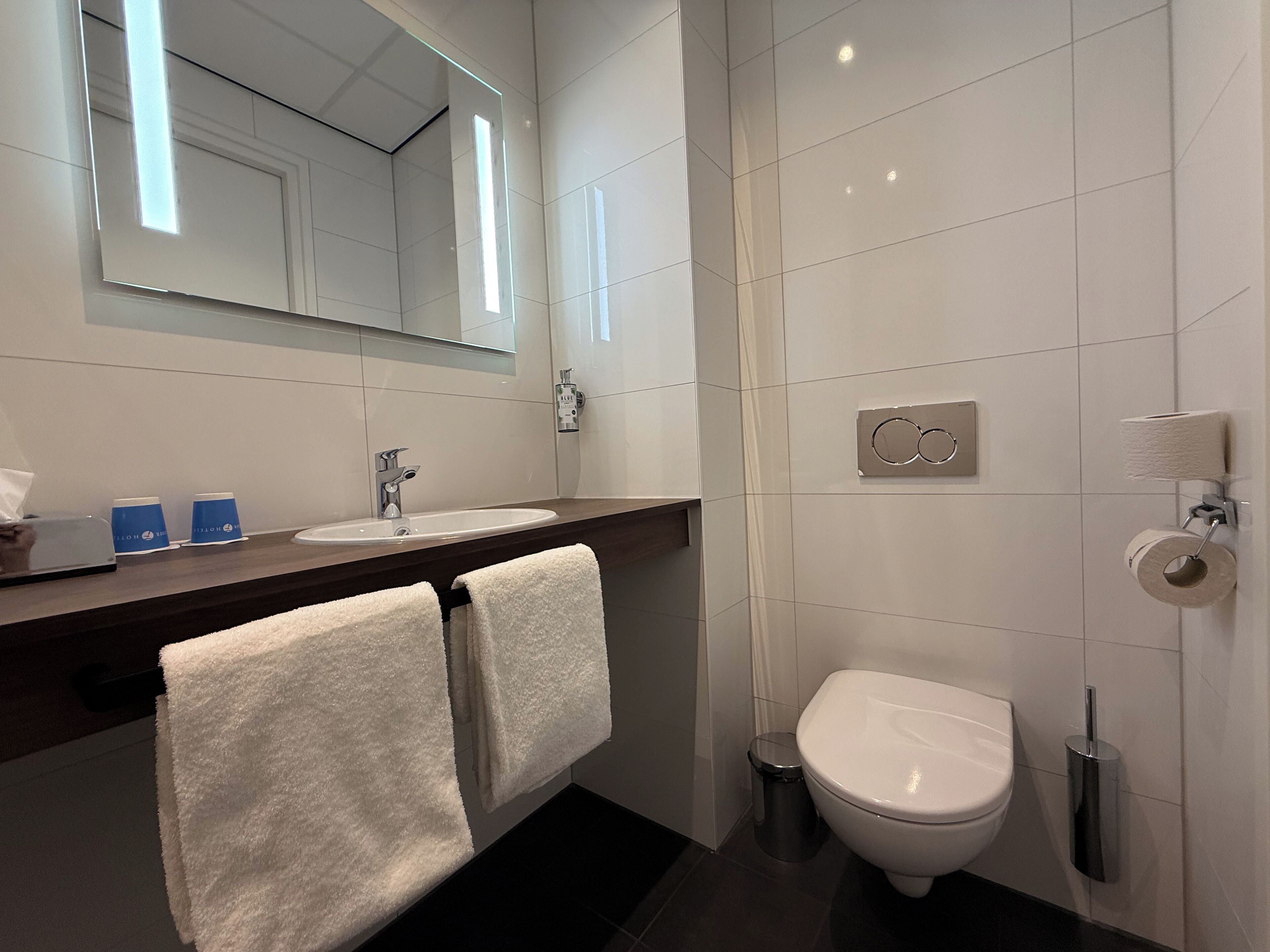 luxury double room | bathroom | shower, eco-friendly toiletries, hair dryer, towels