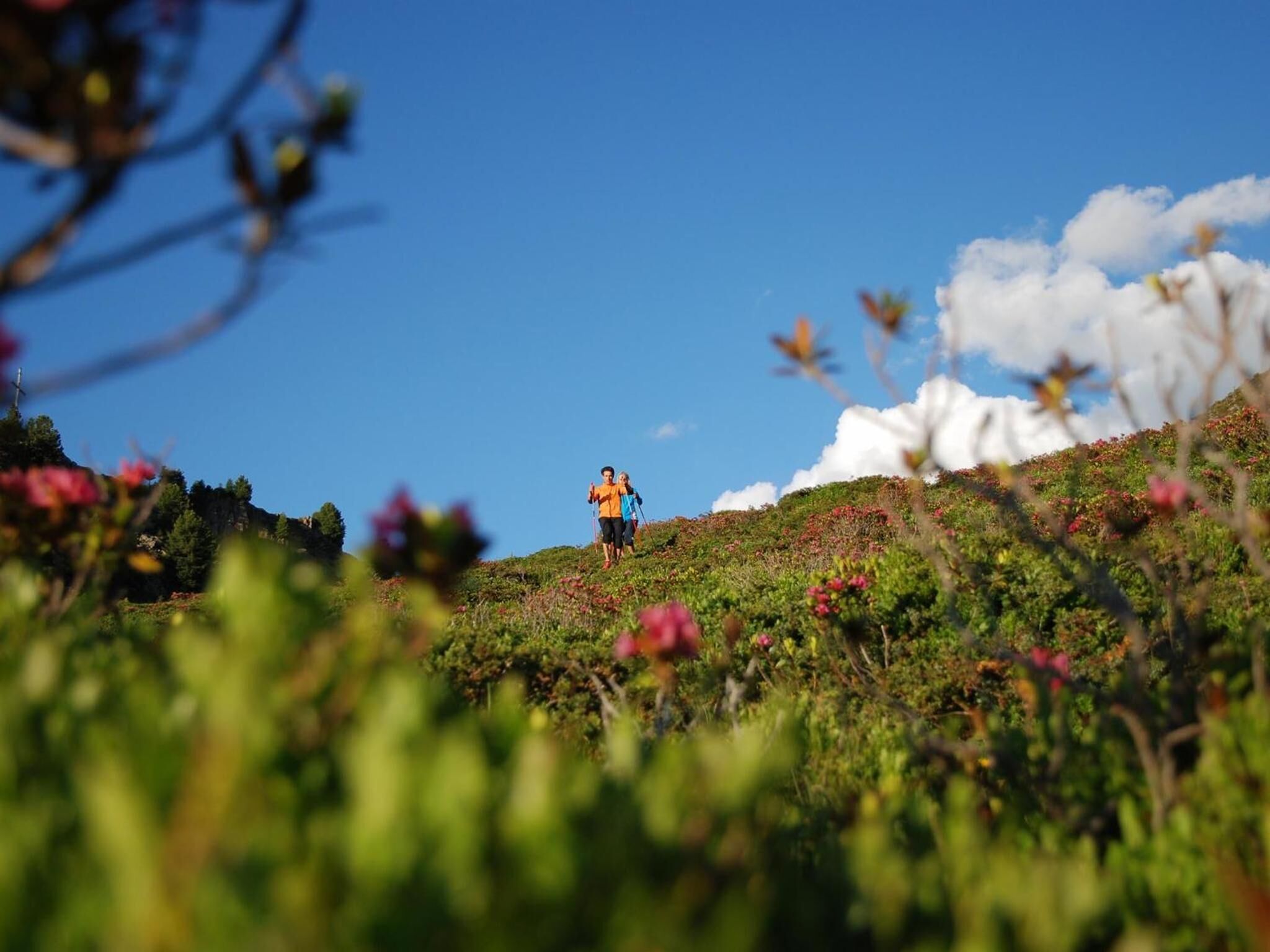 Una persona caminando por una colina cubierta de hierba, con un cielo azul despejado al fondo.