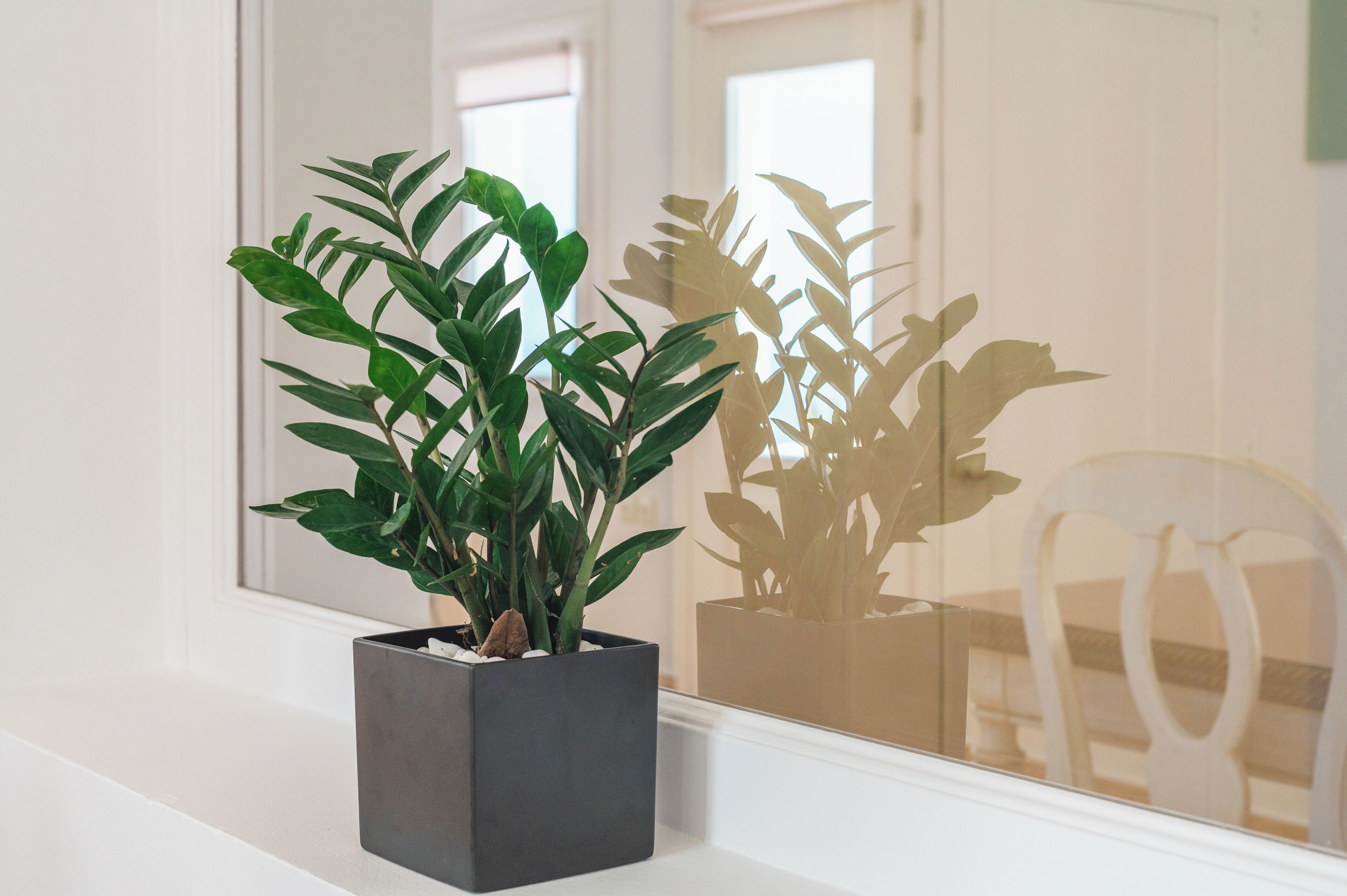 grand villa, caldera view | 2 bedrooms, premium bedding, down duvets, minibar