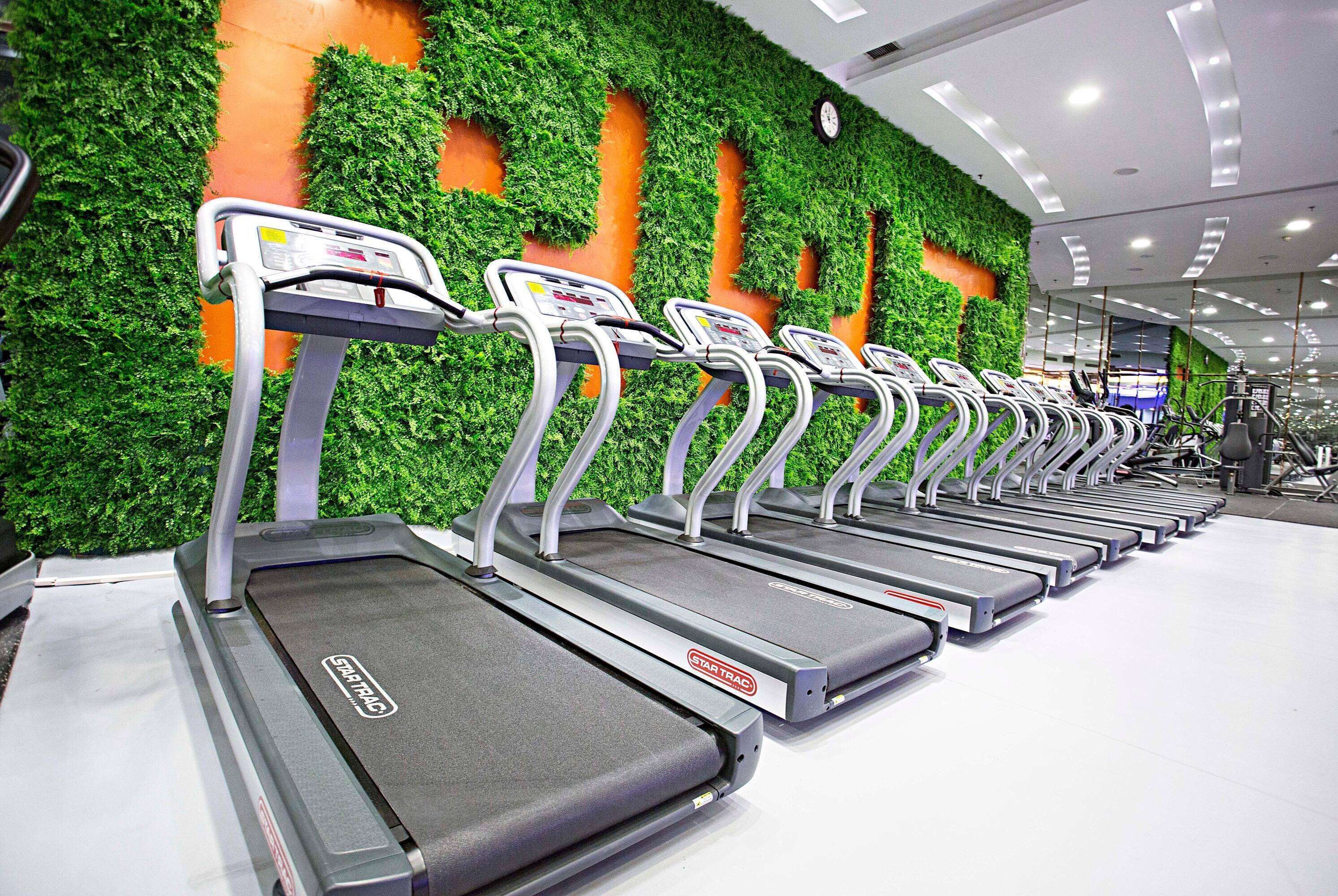 Varias cintas de correr en un gimnasio con un muro cubierto de follaje verde y un reloj en el techo.