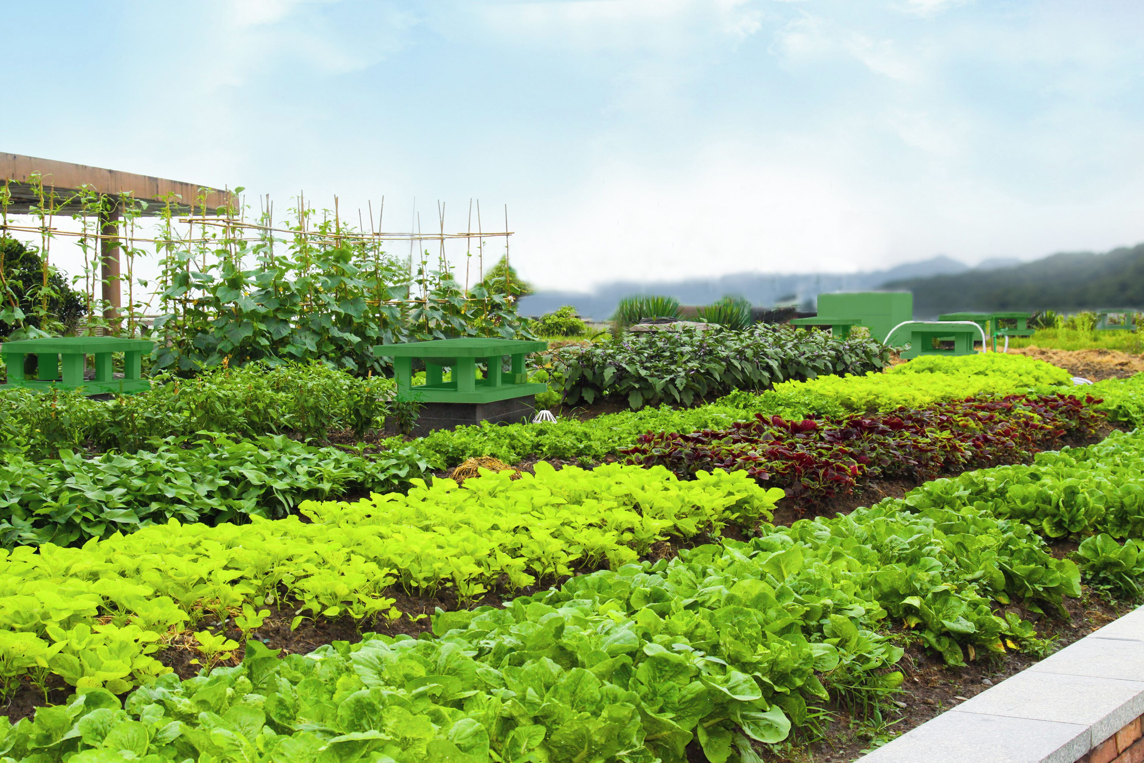 family room, 1 king bed, non smoking, lake view | terrace/patio