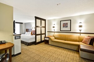 42-英寸液晶电视 （配备卫星频道）、电视