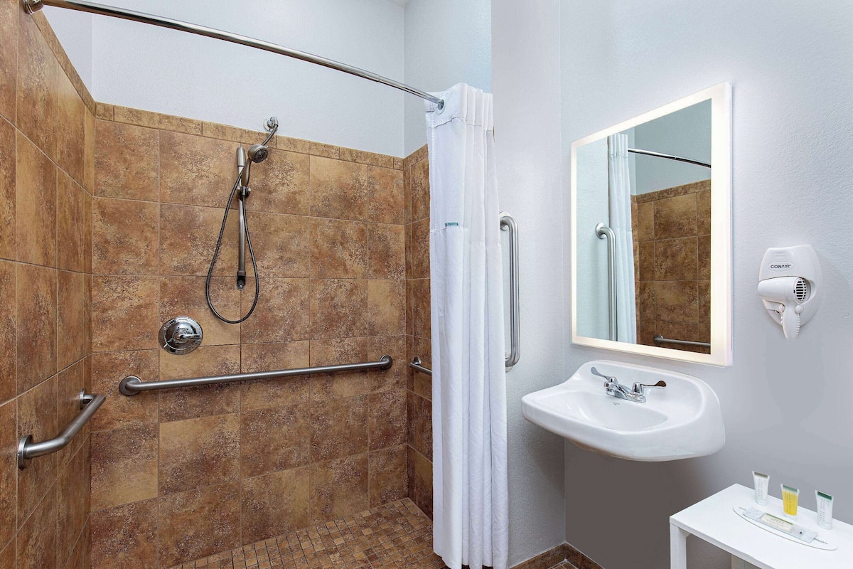 standard room, 1 queen bed, accessible | accessible bathroom