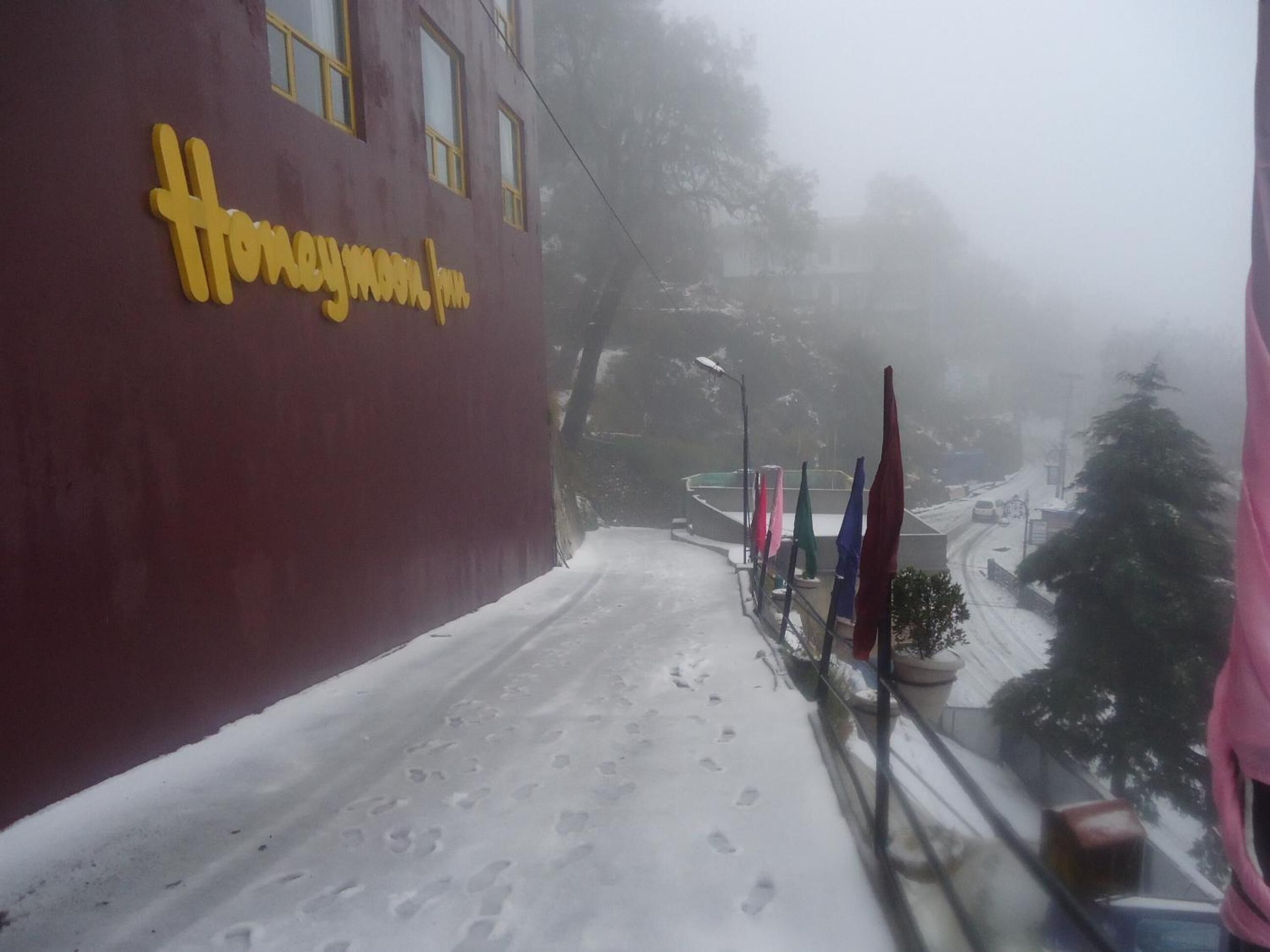 A snow-covered pathway leading to a building with a yellow sign reading "Honeymoon Inn".