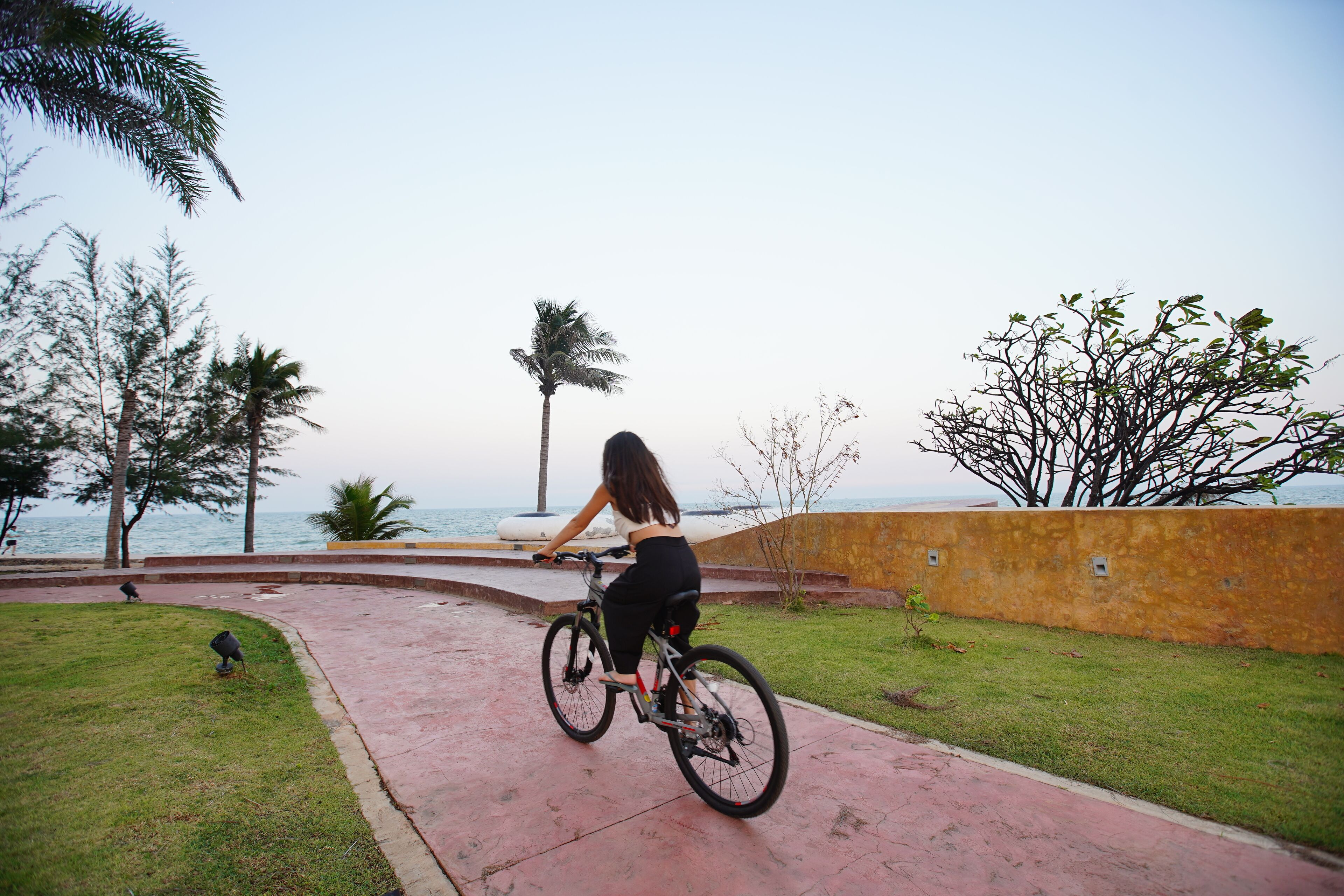 A person riding a bicycle on a paved path with grass on either side, palm trees, and a view of the ocean in the background.