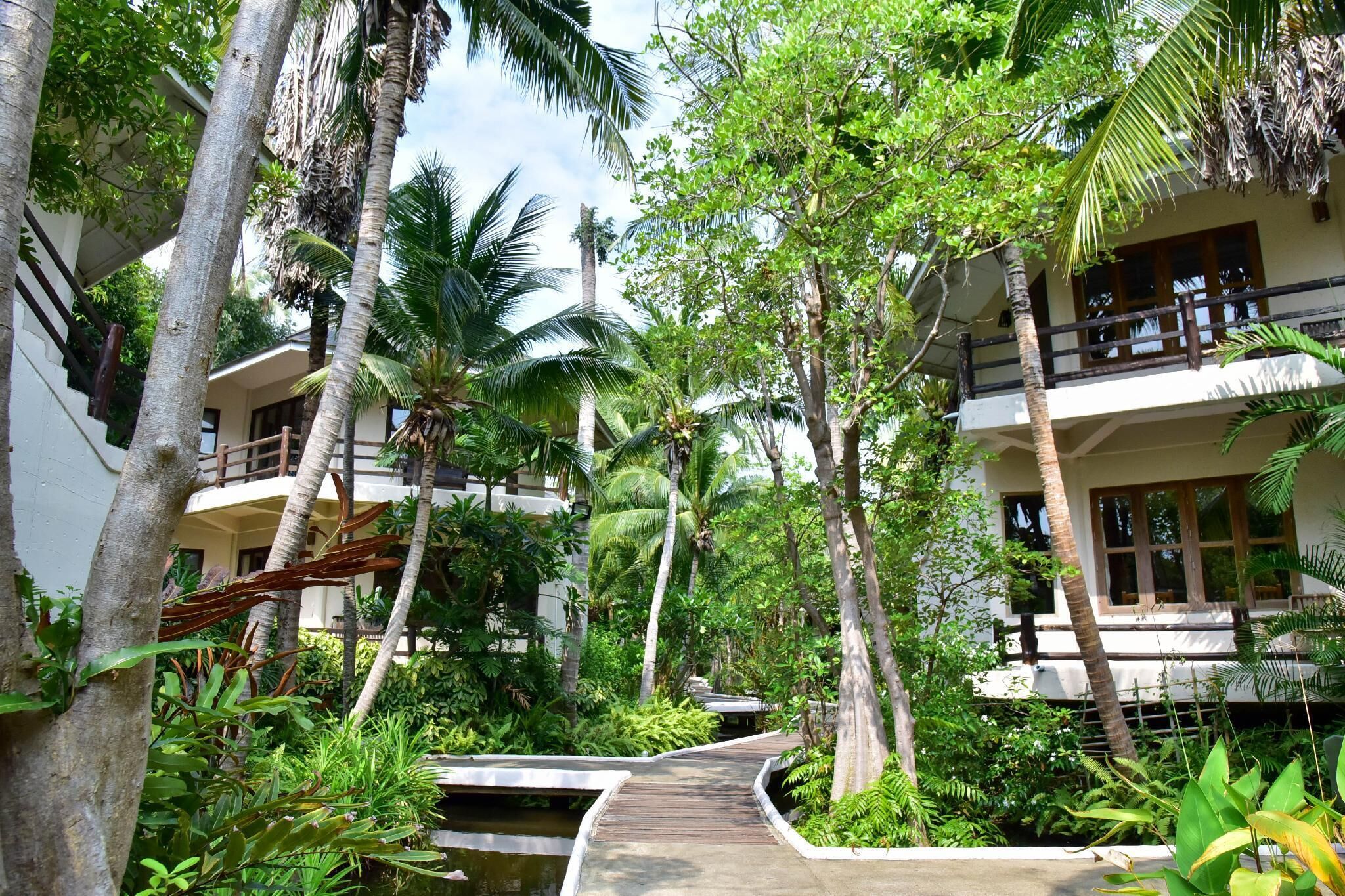 Superior Room | Garden view