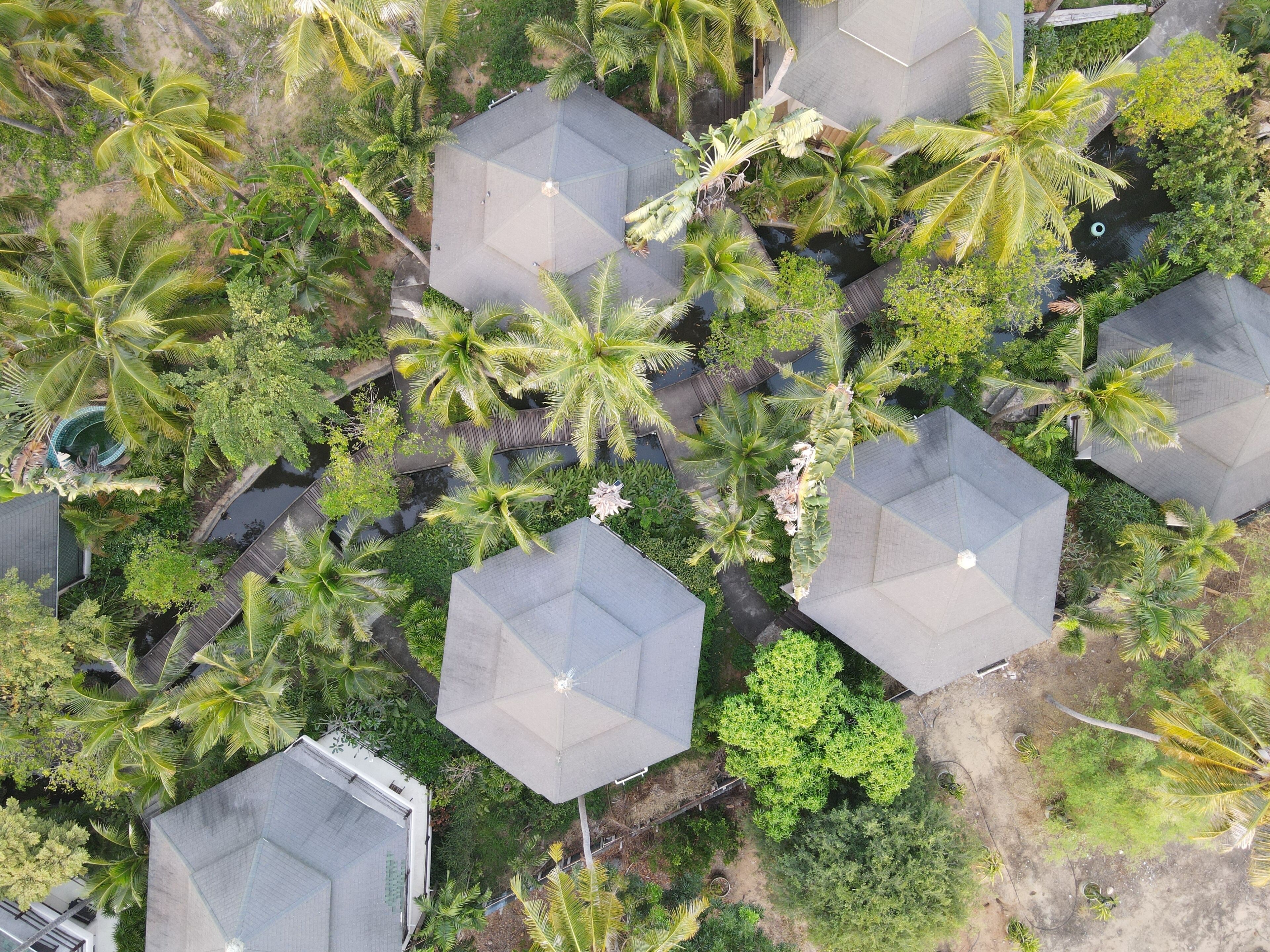 An aerial view of a residential area with multiple houses, each featuring a sloped roof and surrounded by lush greenery, including palm trees and other tropical plants.