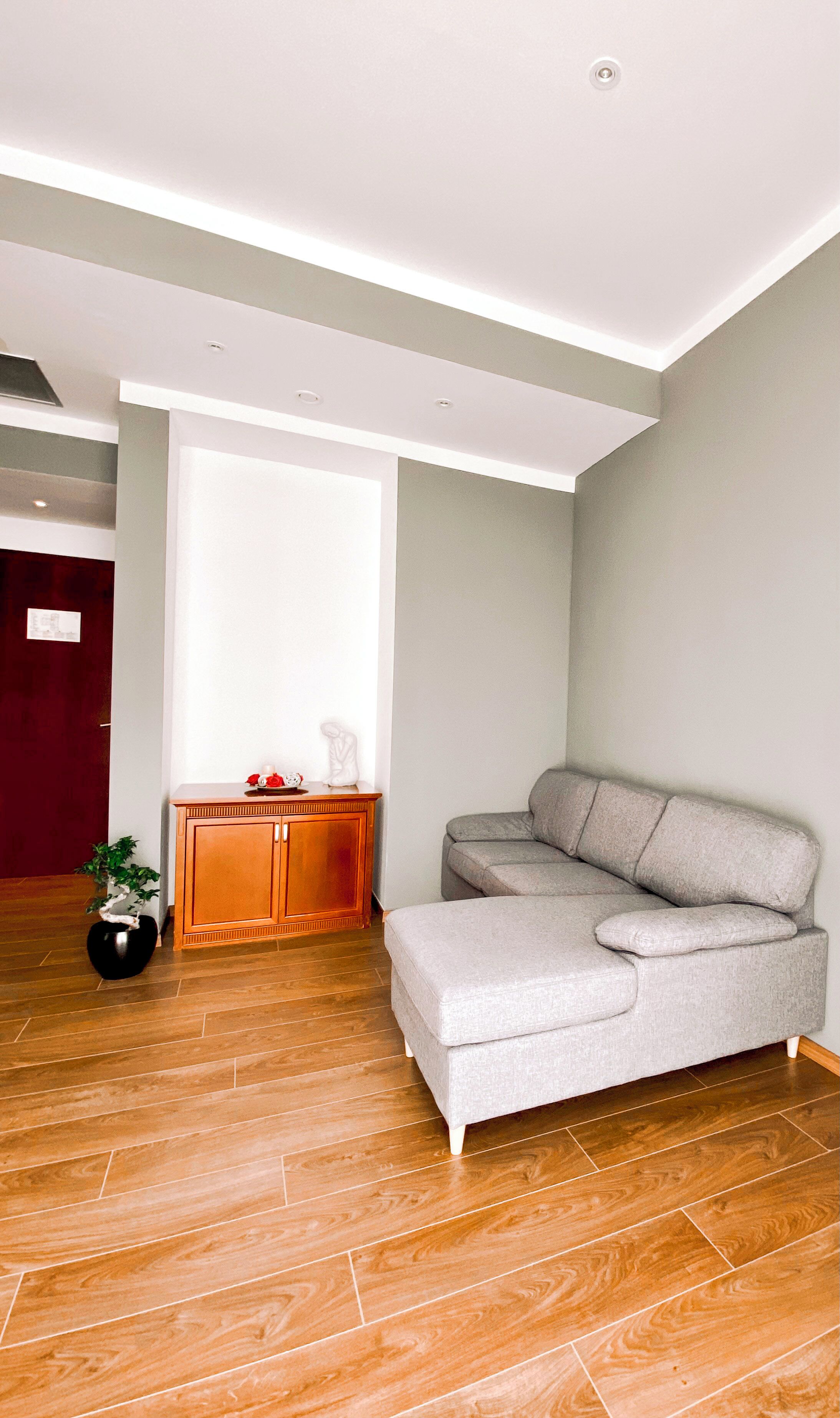 Una sala moderna con un sofá modular gris, piso de madera, un mueble pequeño y una planta en maceta.