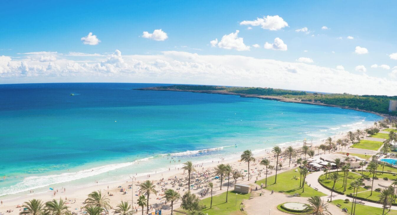 Una playa con aguas turquesas cristalinas, palmeras y vista al océano.