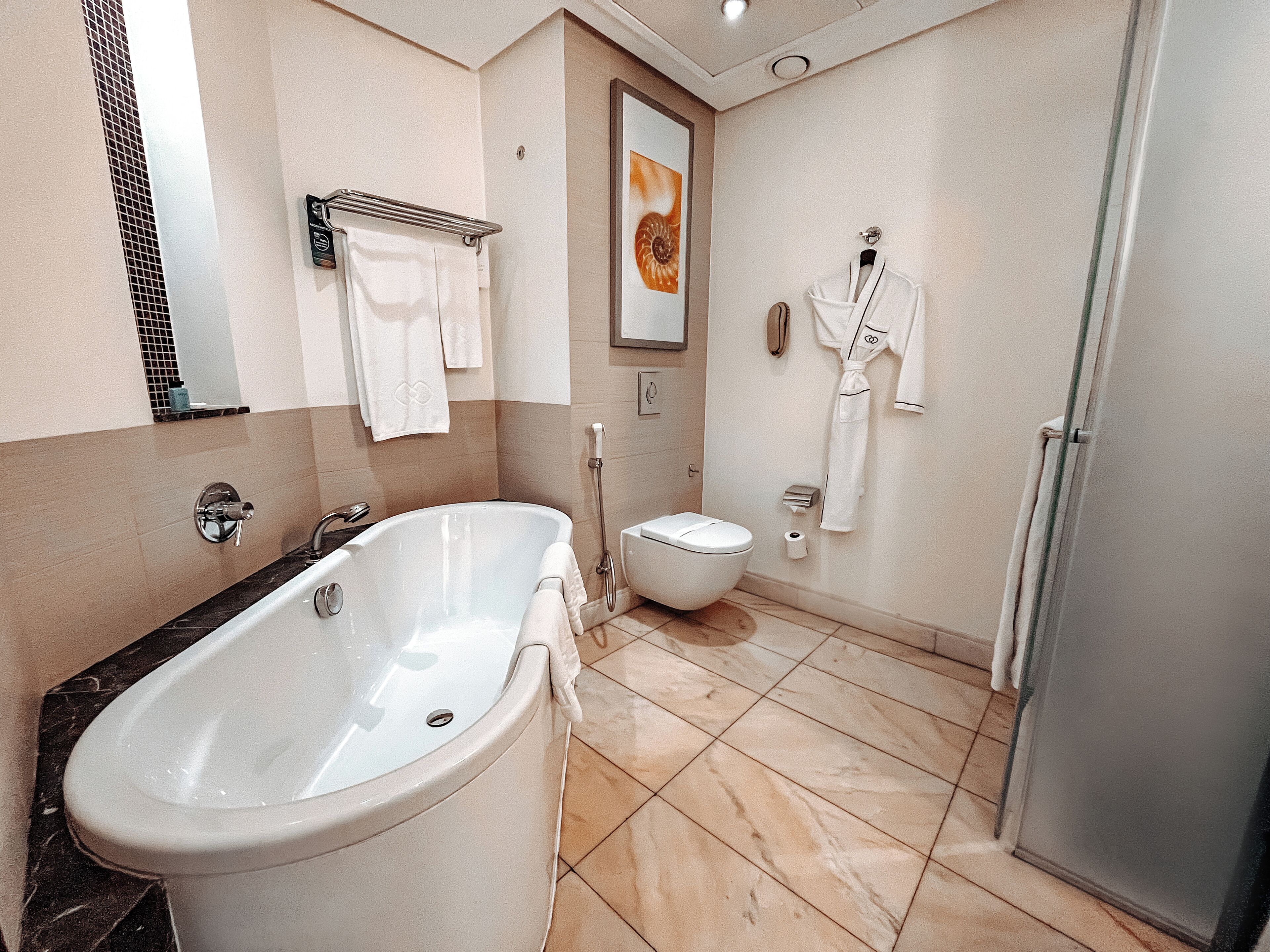 A modern bathroom with a freestanding bathtub, a toilet, and a shower.