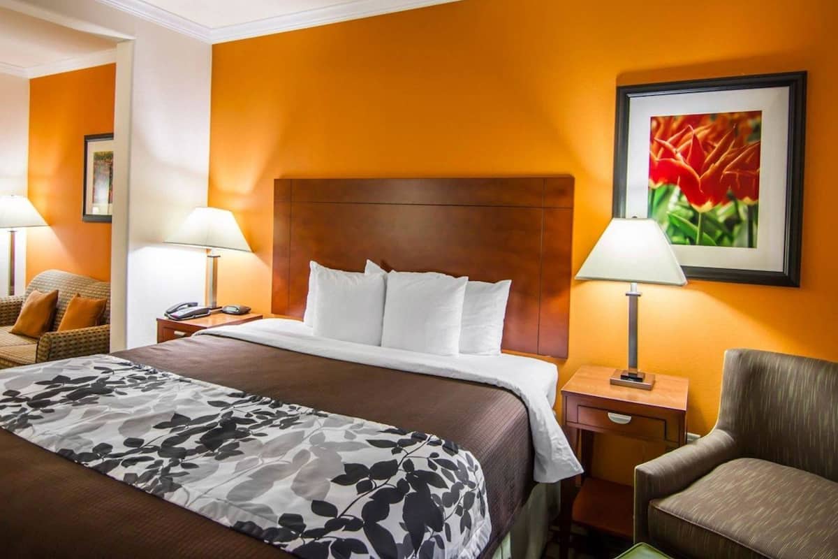 A hotel room with a large bed, a wooden headboard, a nightstand with a lamp, a chair, and a framed picture on the wall.