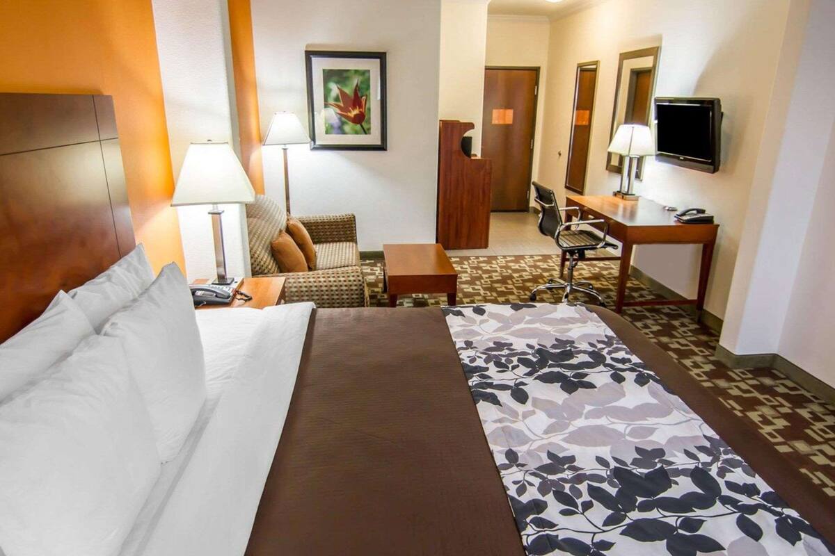 standard room | desk, iron/ironing board, rollaway beds, free wifi