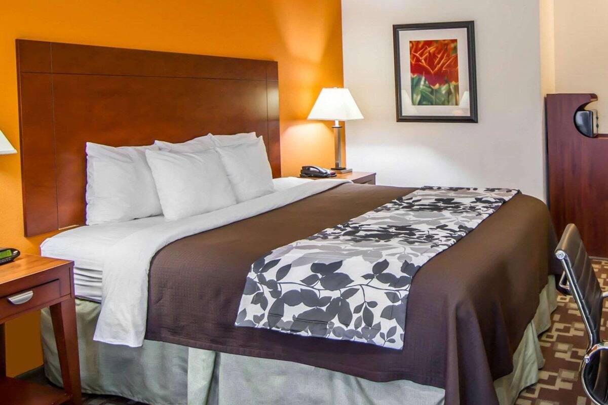 standard room, 1 king bed, non smoking | desk, iron/ironing board, rollaway beds, free wifi