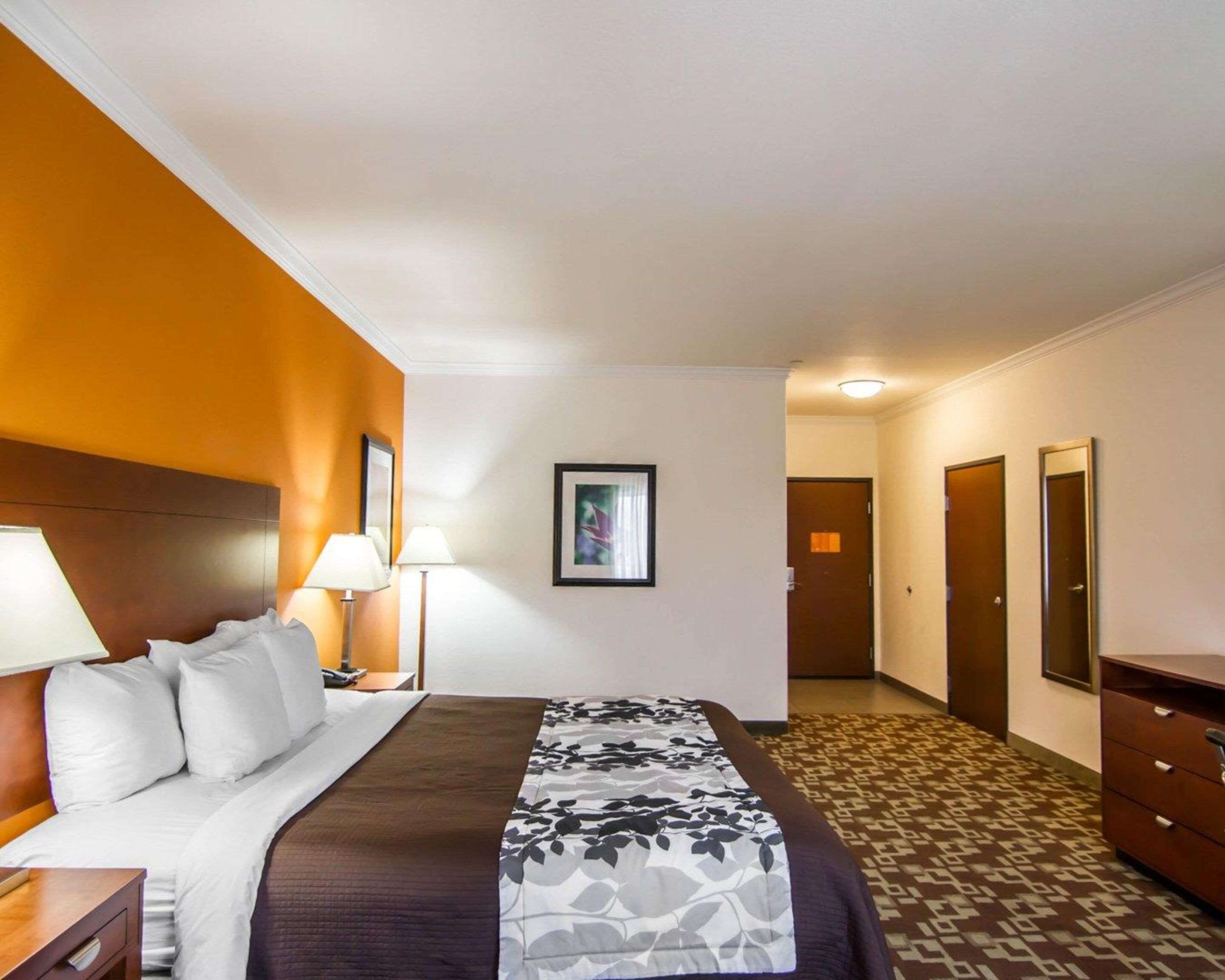 Una habitación de hotel con cama, mesitas de noche, lámpara, un cuadro en la pared y alfombra estampada.