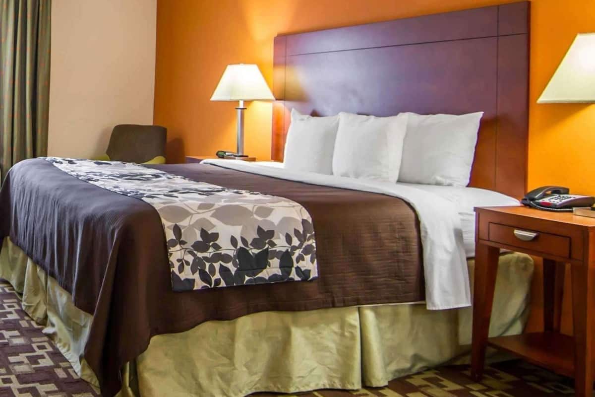 A hotel room with a bed, two bedside lamps, a bedside table with a phone, and a patterned carpet.