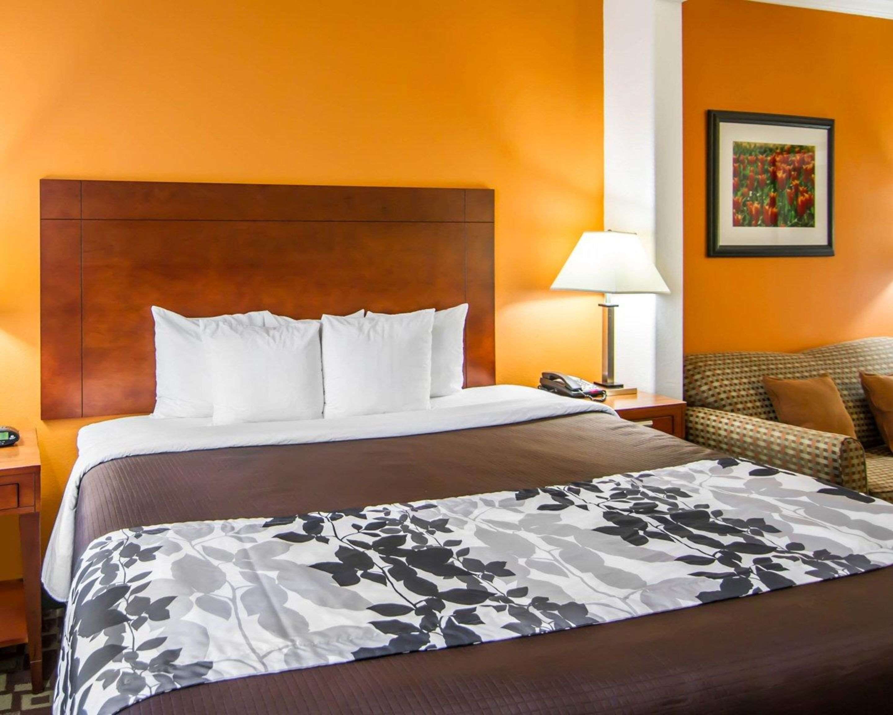 standard room | desk, iron/ironing board, rollaway beds, free wifi