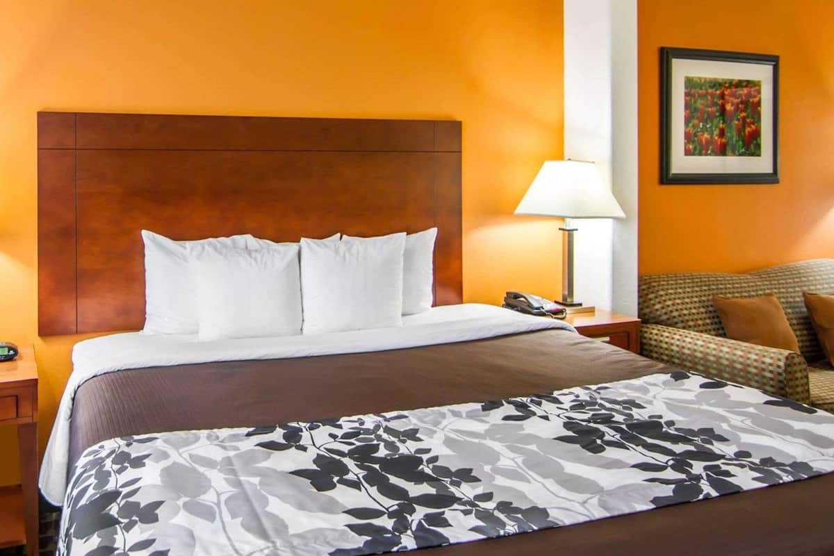 standard room | desk, iron/ironing board, rollaway beds, free wifi